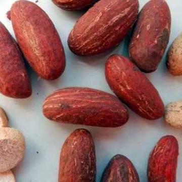 Bitter Kola: Health Benefits of Garcinia Kola