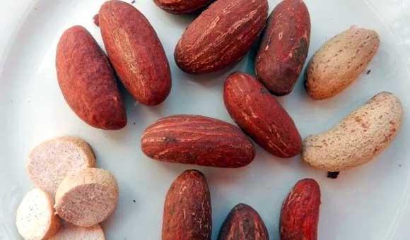 Bitter Kola: Health Benefits of Garcinia Kola