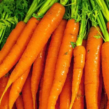 5 Vegetables You Should Never Peel for Maximum Health Benefits.