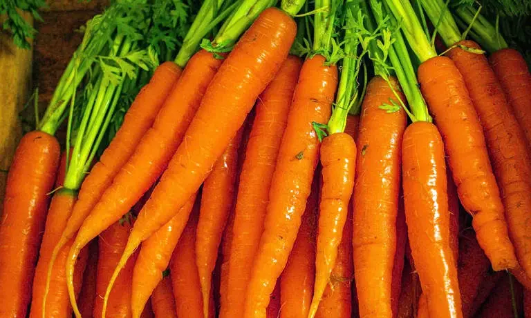 5 Vegetables You Should Never Peel for Maximum Health Benefits.