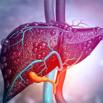 Understanding Elevated Liver Enzymes: What Your Body is Trying to Tell You.