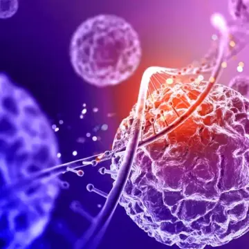 What Exactly Are Enzymes?
