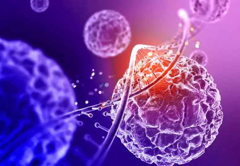 What Exactly Are Enzymes?