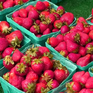 Foods That Help Your Liver: Simple Ways to Lower Liver Enzymes