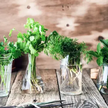 Keep Your Greens Fresh: Easy Ways to Store Herbs Longer.