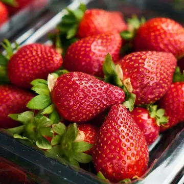 8 Food Groups That Might Help Prevent Cancer.