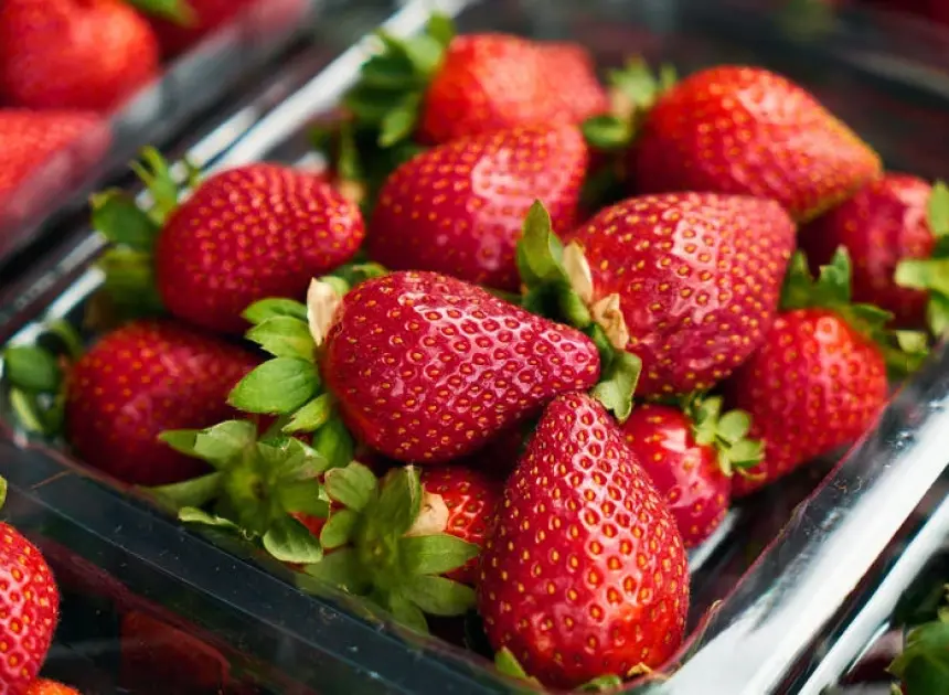 8 Food Groups That Might Help Prevent Cancer.
