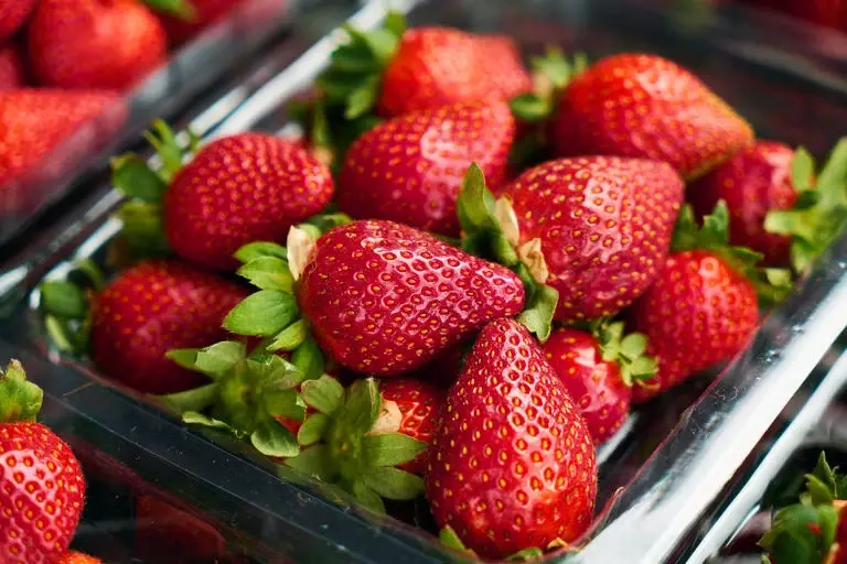 8 Food Groups That Might Help Prevent Cancer.