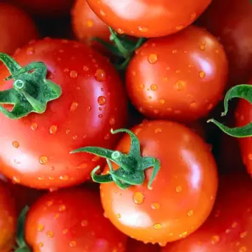 Foods to Limit or Avoid Raw Eating if You Have Fatty Liver.