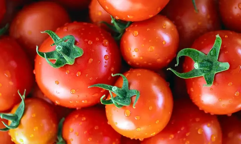Foods to Limit or Avoid Raw Eating if You Have Fatty Liver.